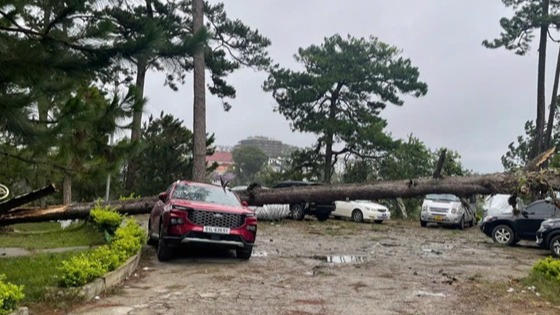 Lâm Đồng triển khai các biện pháp ứng phó bão số 3