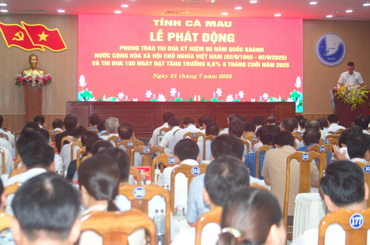 Đại diện Sở, ngành tham luận, đưa ra mục tiêu và giải pháp cụ thể đóng góp vào tăng trưởng GRDP toàn tỉnh.