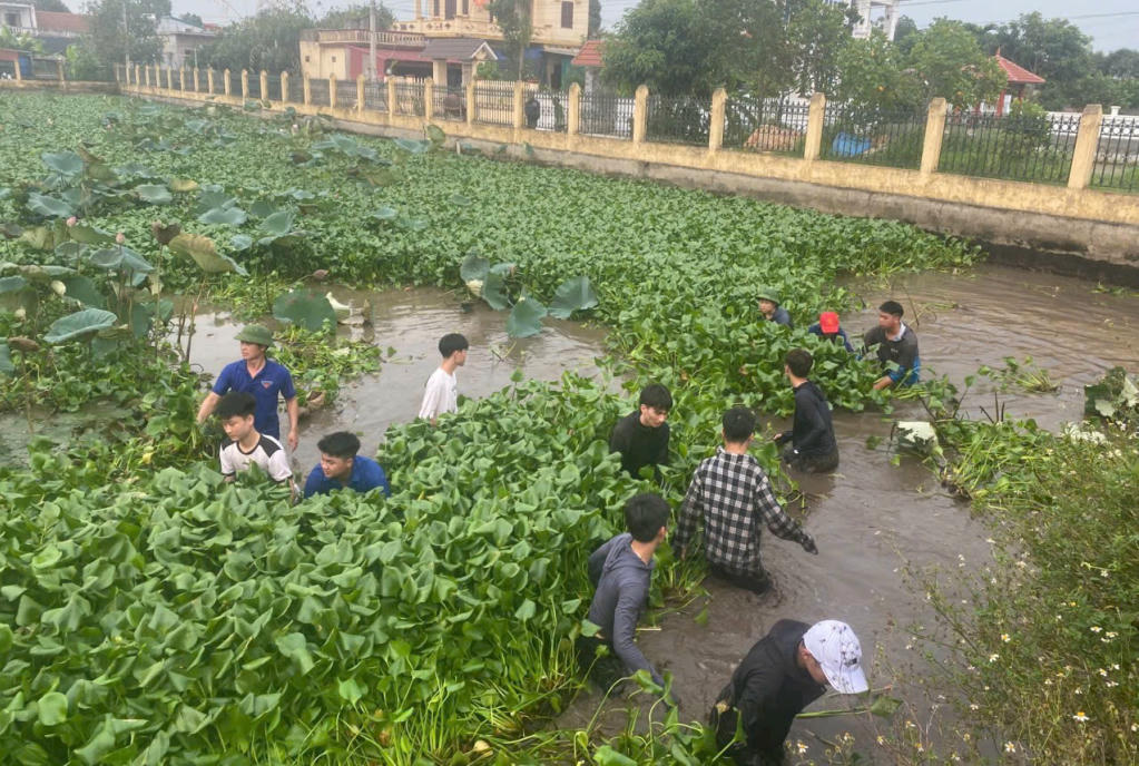 Cán bộ, thanh niên xã Nam Tiên Hưng vớt bèo bồng khơi thông dòng chảy. (Ảnh: Thu Hiền)