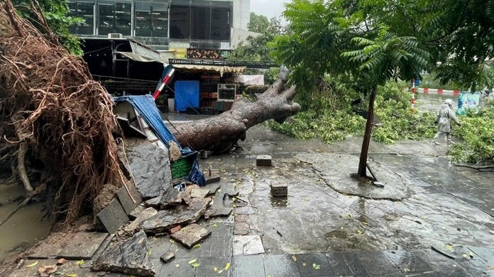 Chỉ đạo của Ban Bí thư về việc ứng phó với cơn bão số 3