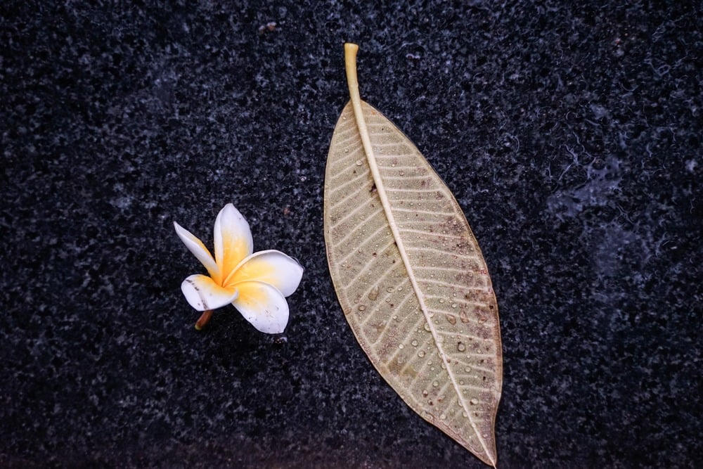 Những cái chết bất ngờ do tai nạn sẽ tái sanh về đâu?