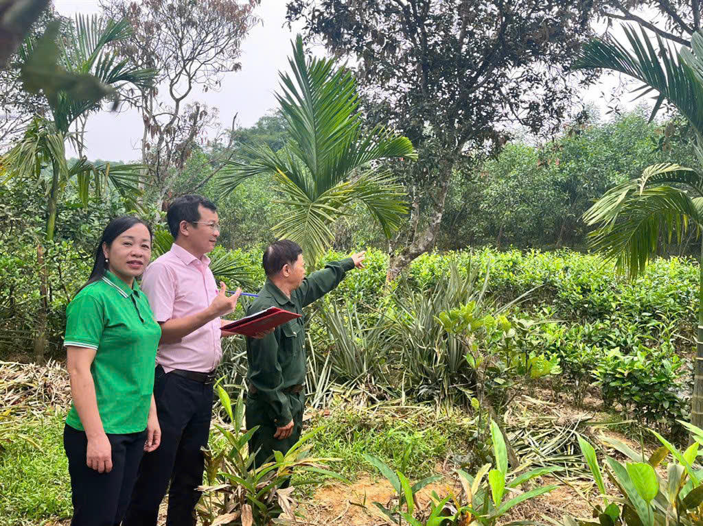 Cán bộ tín dụng của các phòng giao dịch NHCSXH ở Nghệ An vẫn kiên trì bám địa bàn cơ sở nhiệt tình, tận tâm giúp dân vay vốn, sử dụng vốn vay đầu tư sản xuất kinh doanh hiệu quả.