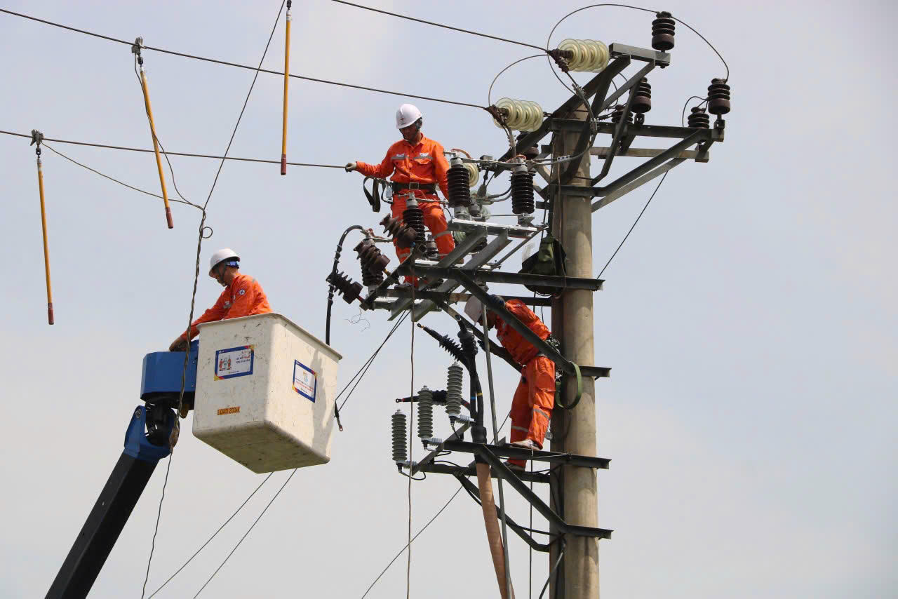 Điện lực Hải Phòng khắc phục sự cố, khôi phục cấp điện cho khách hàng sau bão số 3