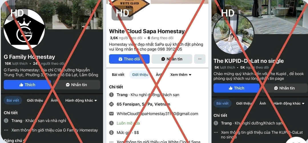 Các đối tượng đã mua và sử dụng hàng loạt fanpage Facebook giả mạo tên các khách sạn, villa nổi tiếng tại các điểm du lịch như Sa Pa, Đà Lạt, Nghi Sơn… để nhận đặt phòng giả mạo lừa đảo chiếm đoạt tài sản.