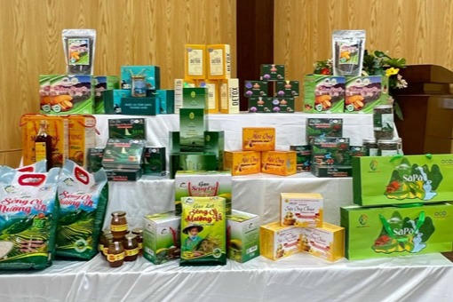 Triển lãm trực tuyến OCOPEX 2025: Đột phá về ứng dụng công nghệ trong xúc tiến thương mại
