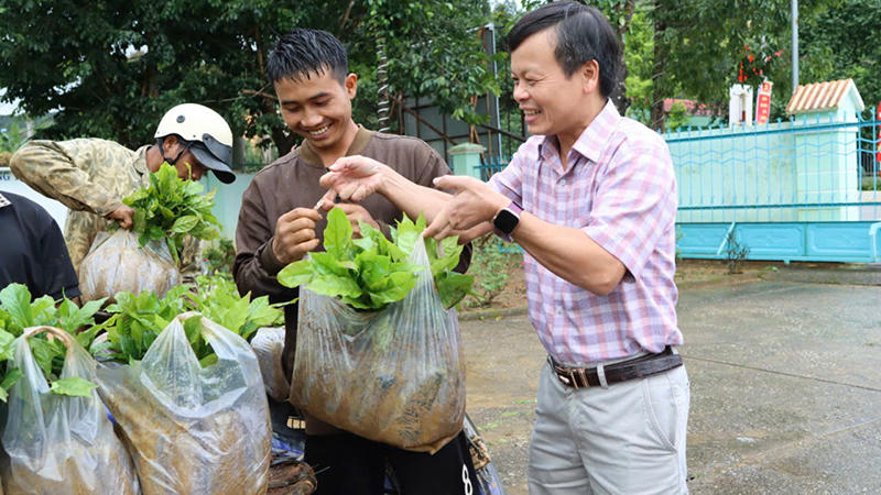 Phát triển giống cà phê đặc sản ở xã miền núi Tu Mơ Rông (Quảng Ngãi): Hướng đi giúp đồng bào Xơ Đăng thoát nghèo bền vững