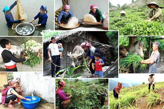 Bảo đảm mục tiêu phát triển bền vững: Từ góc nhìn pháp luật về dân số
