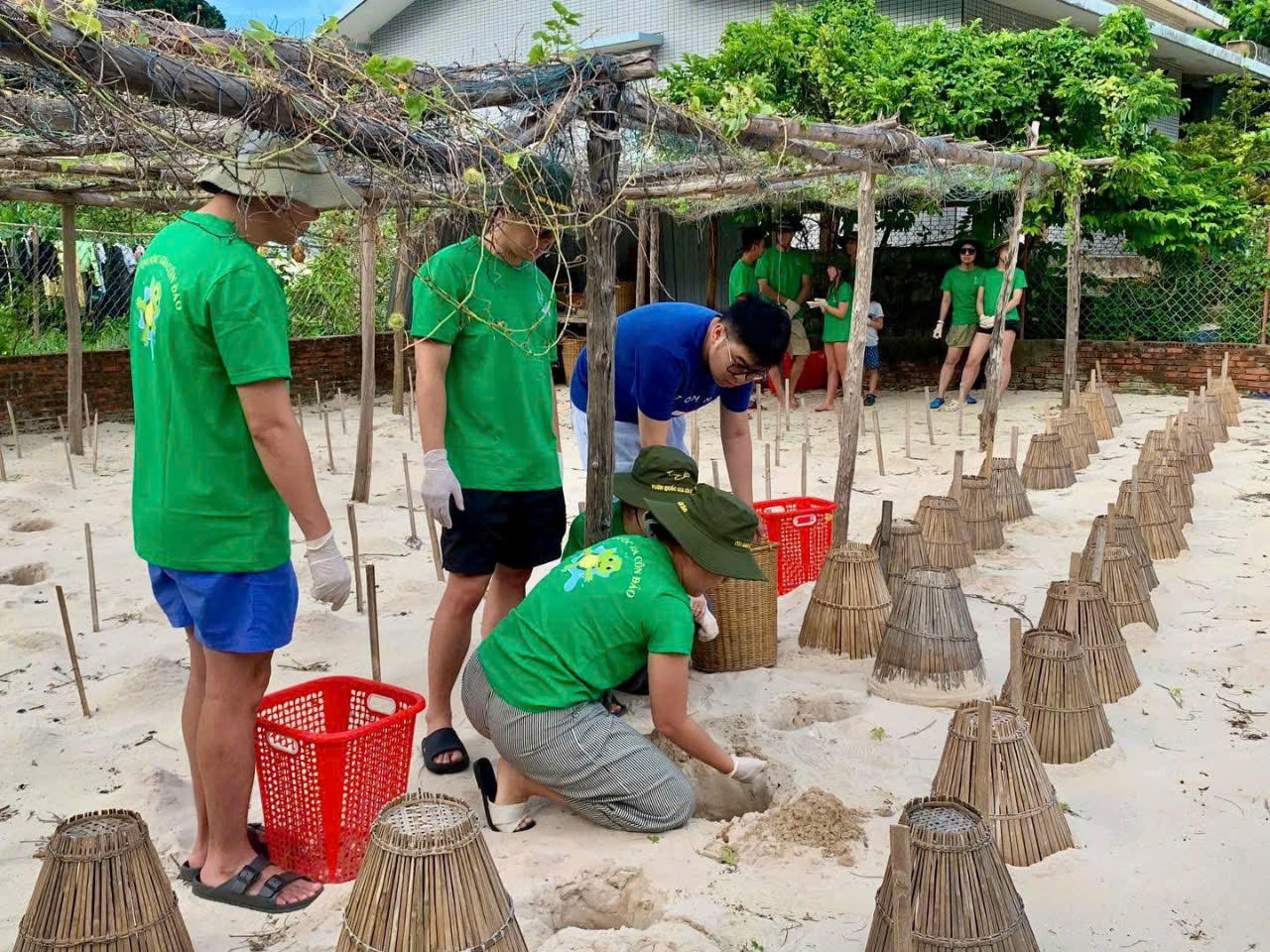 Du khách chuẩn bị nơi cho rùa đẻ trứng