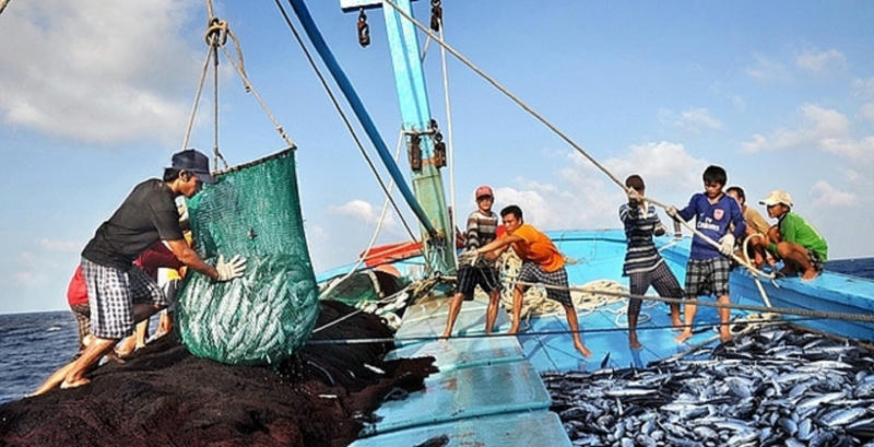 Thủ tướng yêu cầu thực hiện cao điểm chống khai thác IUU, kiên quyết xử lý vi phạm và gỡ 'Thẻ vàng' EC
