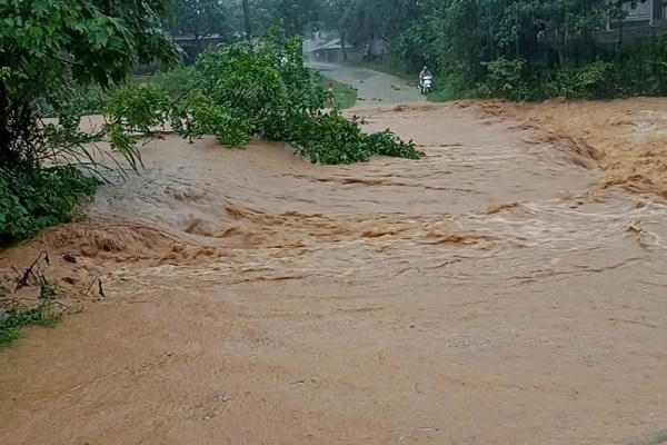 Tự ý tháo rào chắn vượt ngầm tràn, 4 người thoát chết, ô tô bị nước cuốn mất tích Tự ý tháo rào chắn vượt ngầm tràn, 4 người thoát chết, ô tô bị nước cuốn mất tích