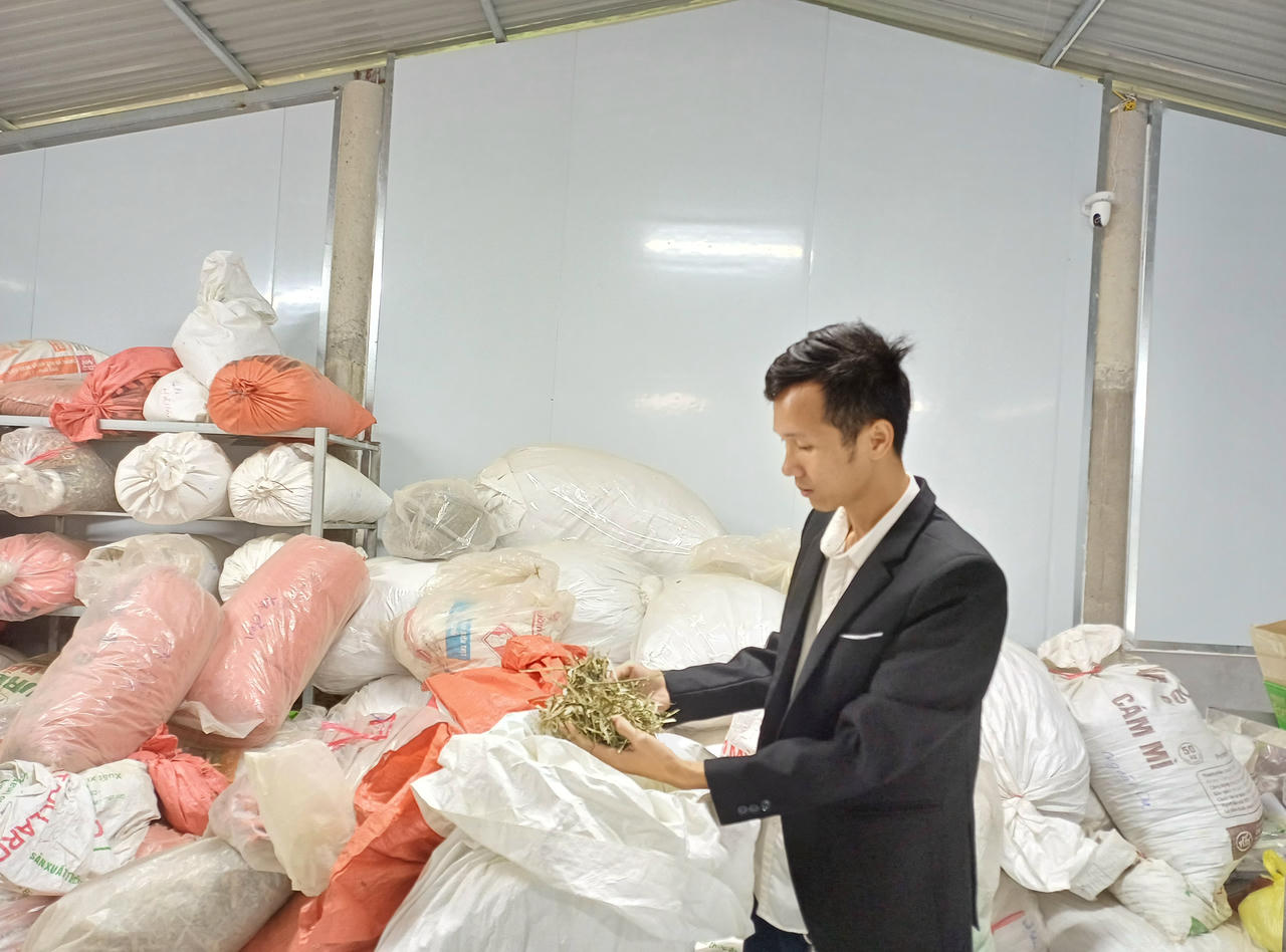 HTX của anh Hoàng đi vào chế biến các sản phẩm chuyên sâu từ cây dược liệu.