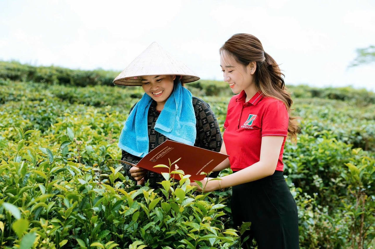 Dư nợ cho vay đối với các lĩnh vực xanh của Agribank có sự tăng trưởng ổn định qua từng năm.