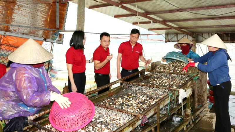 HTX nuôi trồng, thu mua, xuất nhập khẩu thủy hải sản Loan Hoan (Lộc Hà, Hà Tĩnh) nhờ nguồn vốn vay từ Agribank đã có thêm cơ hội mở rộng quy mô sản xuất.