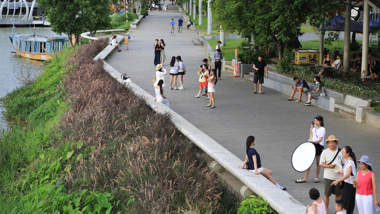 Người dân và du khách cùng chụp ảnh kỷ niệm bên cánh đồng cỏ lau, những bông lau mềm mại vươn mình bên bờ sông Hương dưới chân cầu Trường Tiền. 