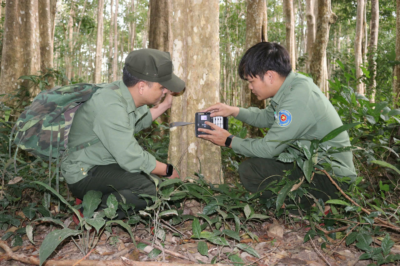 Công tác bảo vệ rừng từng bước được nâng cao. 