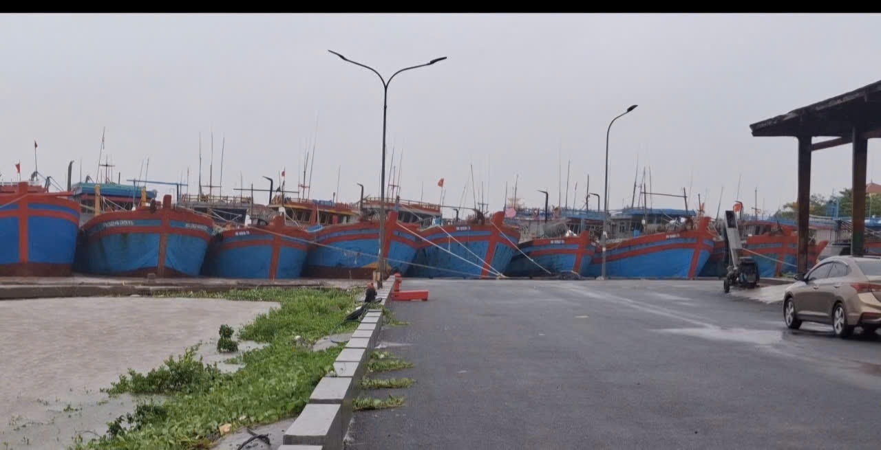 Ninh Bình chỉ đạo quyết liệt chống khai thác IUU