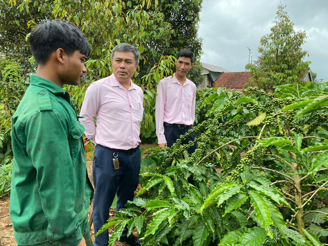 Gia Lai: Dòng vốn tín dụng chính sách thông suốt, hiệu quả trên miền núi Chư Păh
