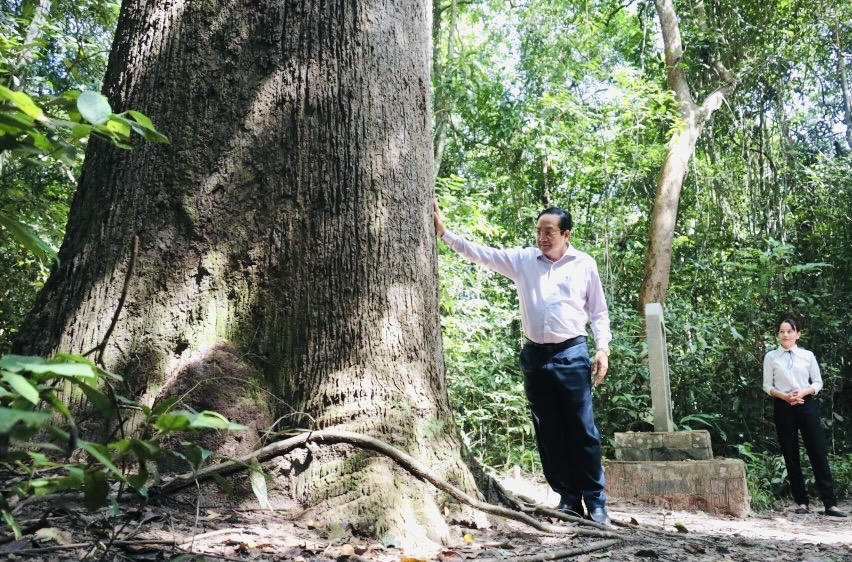 Phó Chủ tịch UBND tỉnh Nguyễn Minh Lâm tham quan cây di sản trong Vườn Di sản ASEAN.