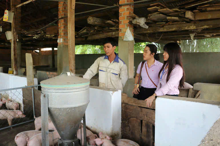 Nhờ sự tận tình, tận tâm của cán bộ tín dụng chính sách, nhiều hộ dân đã vay vốn thuận lợi , sử dụng vốn phát triền sản xuất kinh doanh, vươn lên thoát nghèo