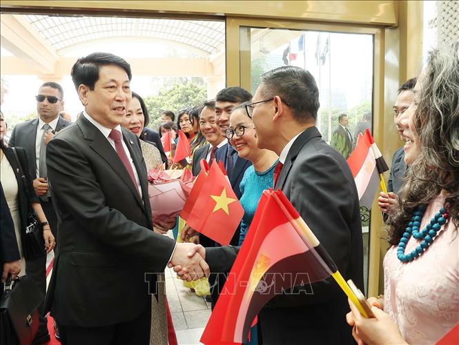 Kiều bào đón Chủ tịch nước Lương Cường và Phu nhân tại Thủ đô Cairo, Ai Cập. Ảnh: Lâm Khánh/TTXVN