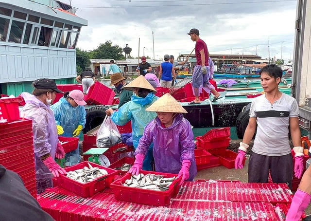 TP Huế triển khai đồng bộ các giải pháp chống khai thác IUU