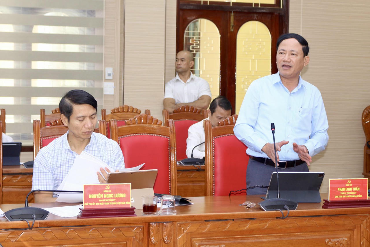 Ông Phạm Anh Tuấn phát biểu tại Hội nghị.