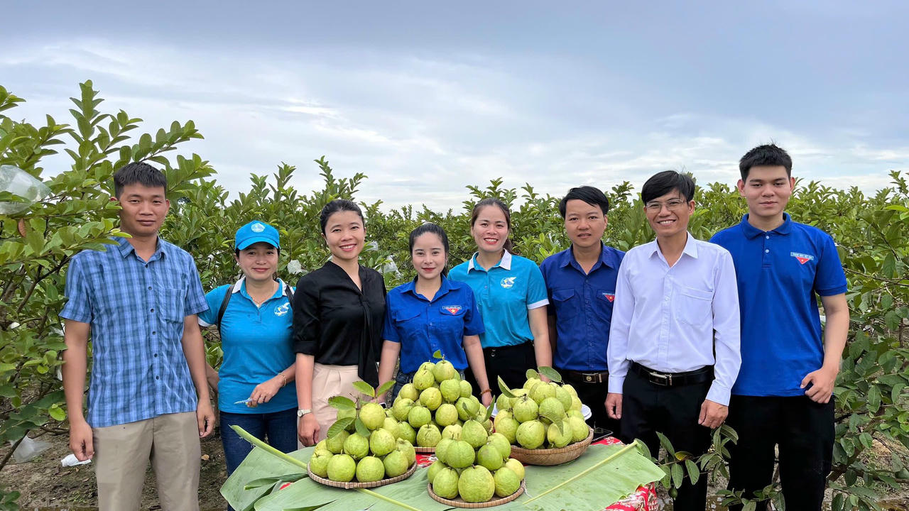 Mặt trận Tổ quốc phường thường xuyên hỗ trợ người dân bán ổi VietGAP Hương Xuân với nhiều hình thức phong phú.