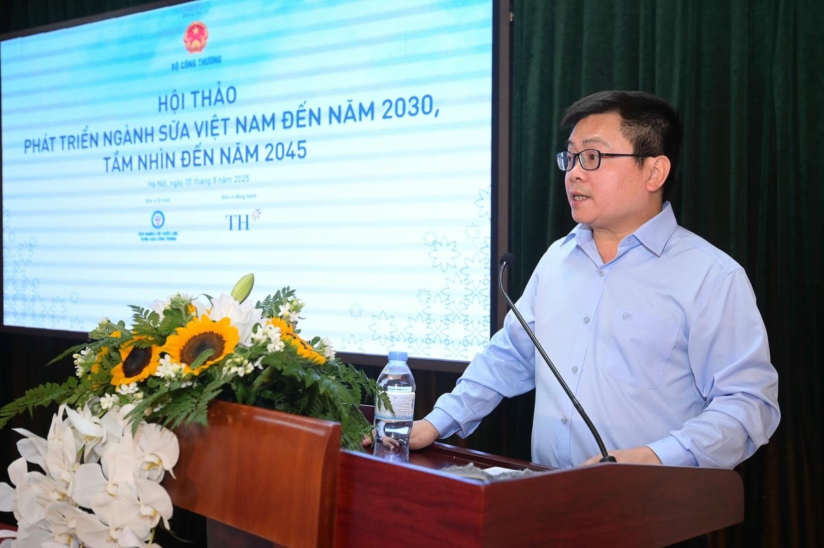 Thứ trưởng Bộ Công thương Trương Thanh Hoài phát biểu tại hội thảo.