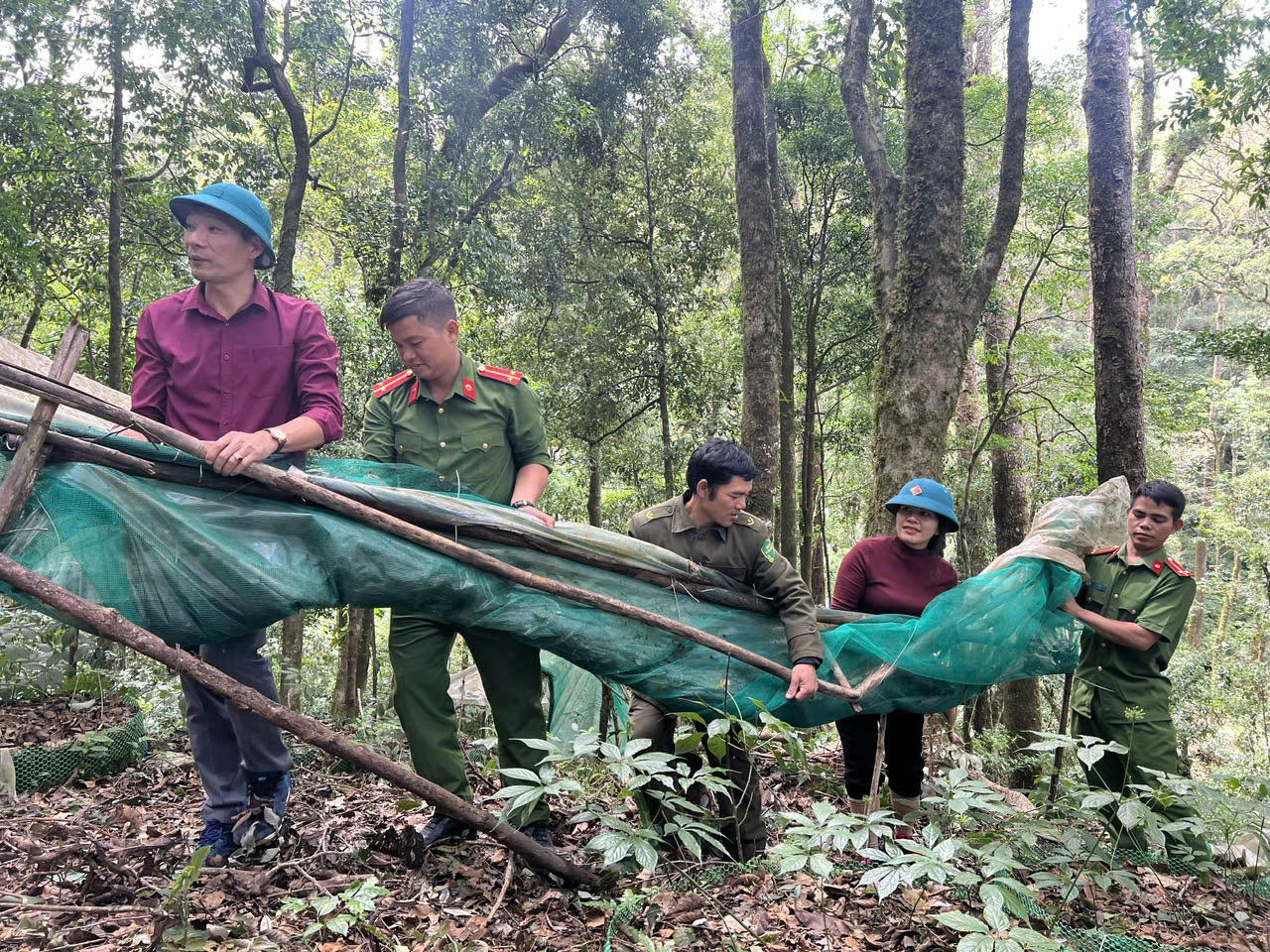 Đoàn cán bộ và tình nguyện viên băng rừng vào thôn Đăk Dơn để hỗ trợ người dân khôi phục vườn sâm.