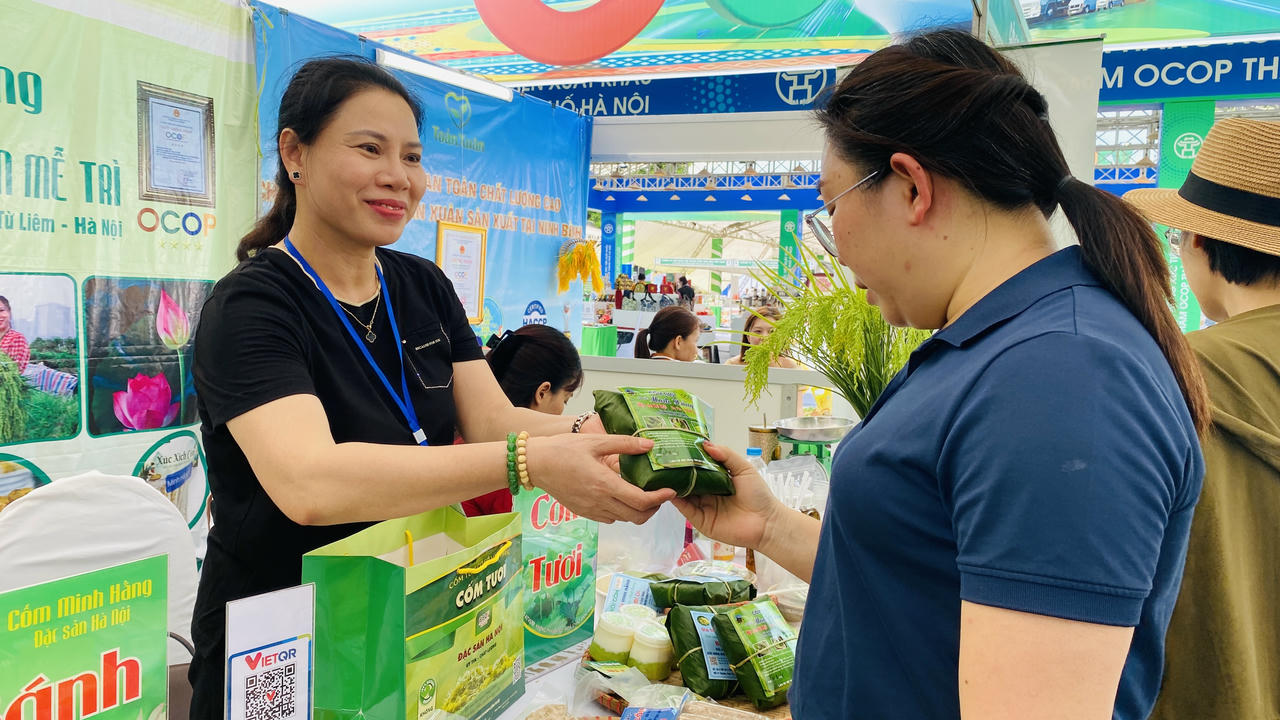 Cốm tươi Mễ Trì được làm từ những hạt lúa nếp cái hoa vàng non và thu hoạch vào thời điểm lúa “chín sữa”.