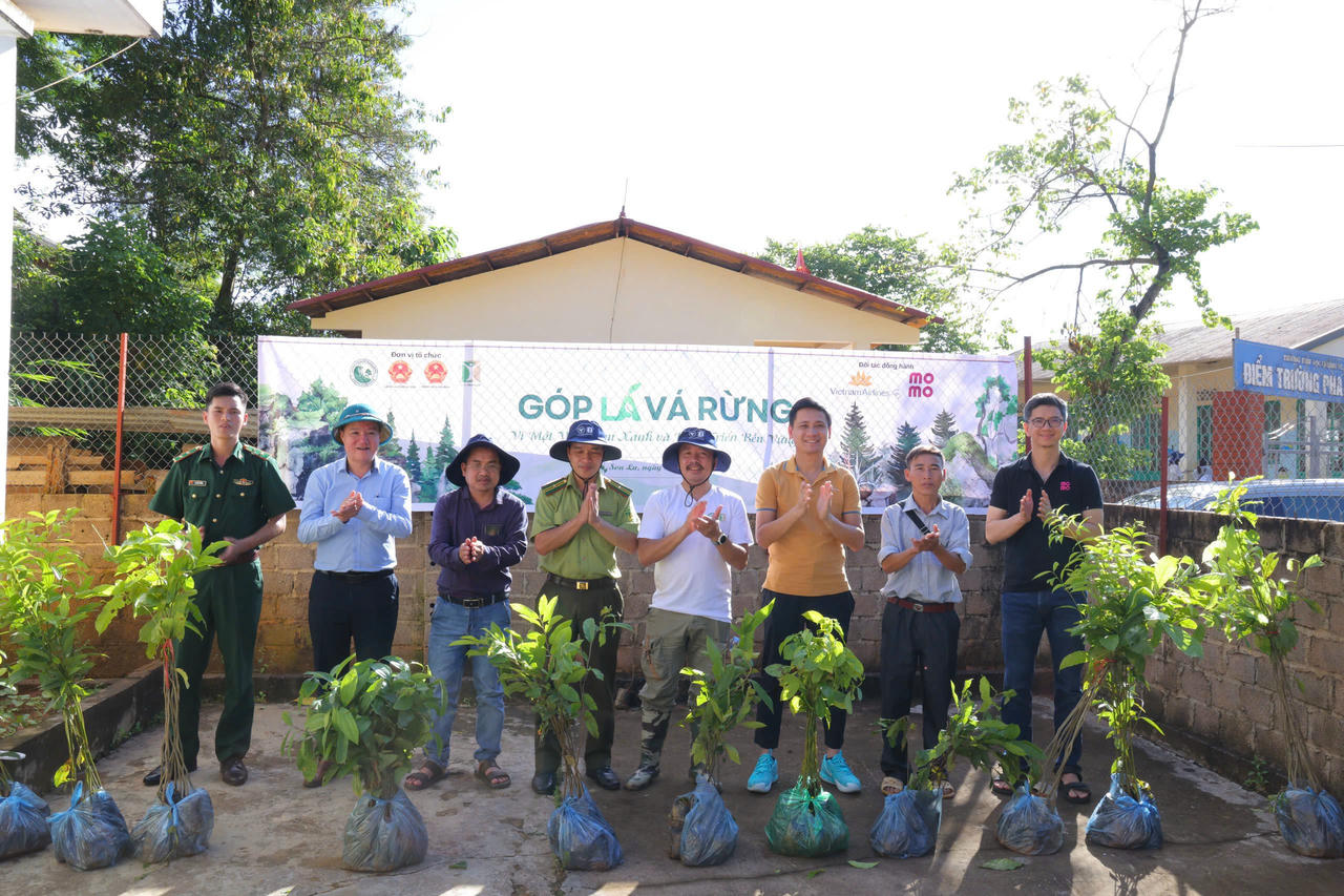 Trồng 60.000 cây vá, phủ 100 ha rừng đại ngàn Tây Bắc