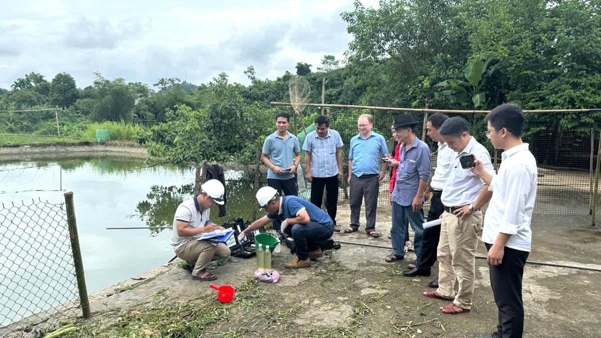 Lấy mẫu nước xác minh nguyên nhân cá chết hàng loạt ở Tuyên Quang