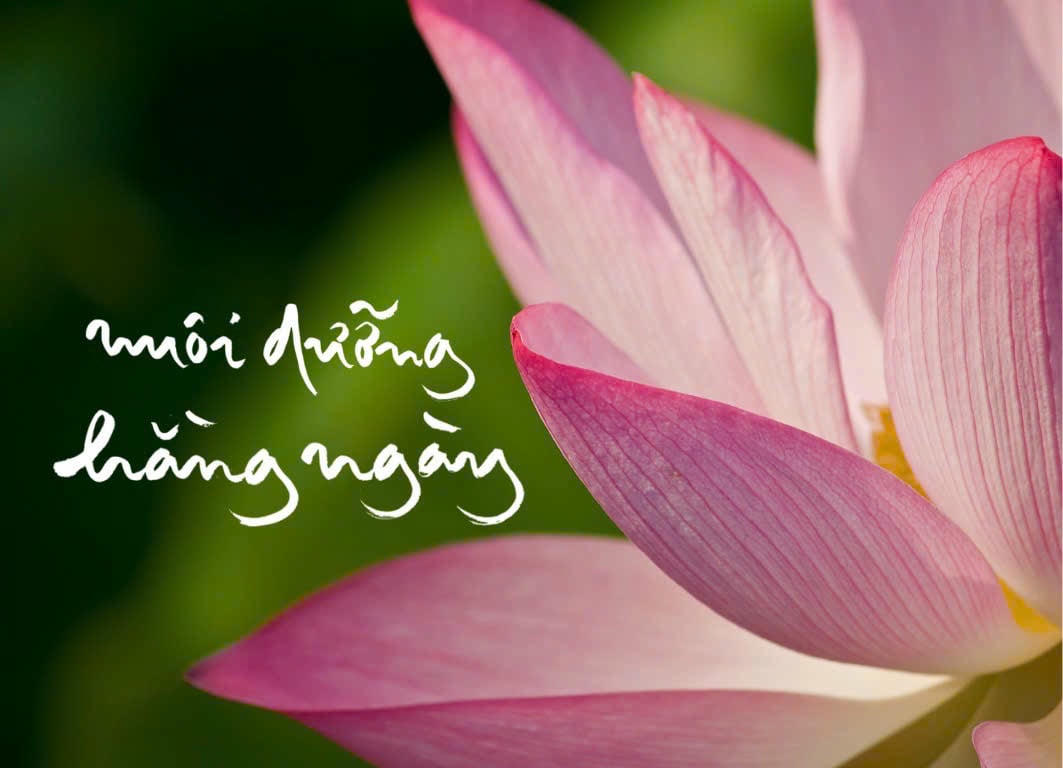 Chăm tâm như chăm vườn.