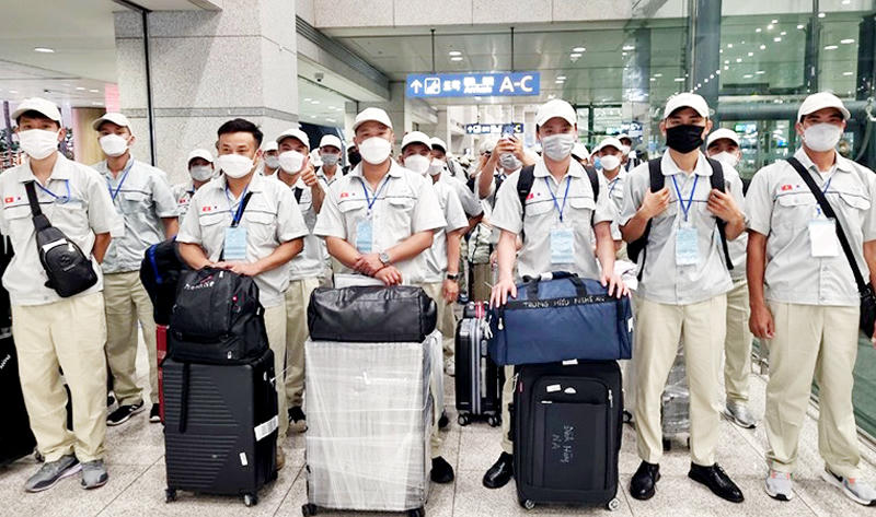 1.600 cơ hội cho lao động ngành ngư nghiệp đi làm việc tại Hàn Quốc