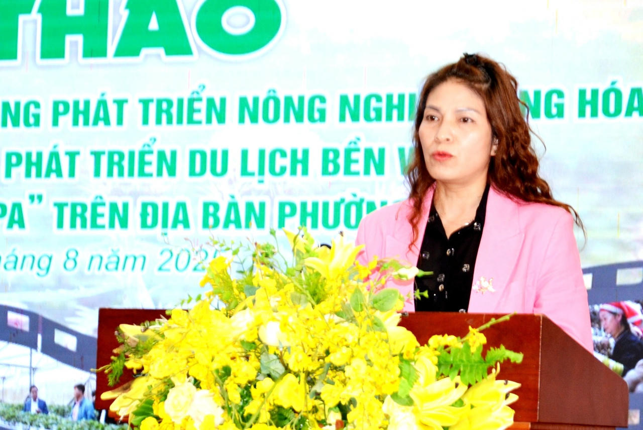 Các đại biểu tham luận tại hội thảo (Ảnh trong bài: Quốc Hồng)