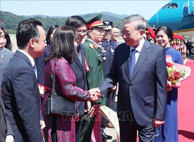 Cán bộ, nhân viên Đại sứ quán và cộng đồng người Việt Nam tại Hàn Quốc đón Tổng Bí thư Tô Lâm và Phu nhân ở Sân bay quân sự Seongnam. Ảnh: Thống Nhất/TTXVN