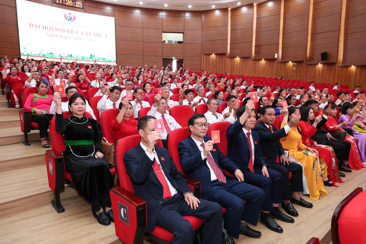 Các đại biểu biểu quyết.