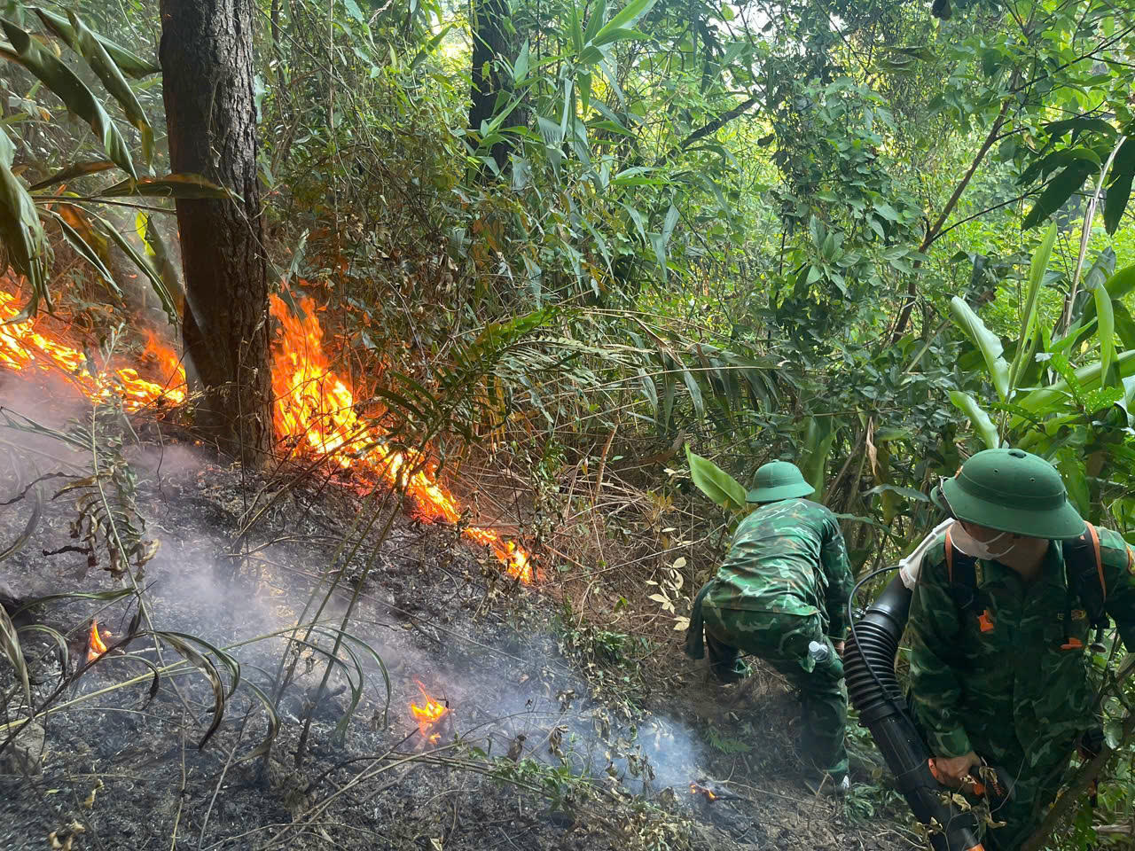 Giữa trưa nắng nên ngọn lữa bùng phát dữ dội.