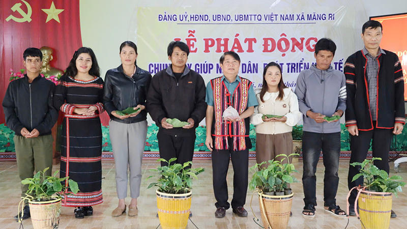 Hơn 1,8 tỷ đồng ủng hộ Măng Ri tái thiết vườn sâm Ngọc Linh và cây cà phê bị bão tàn phá