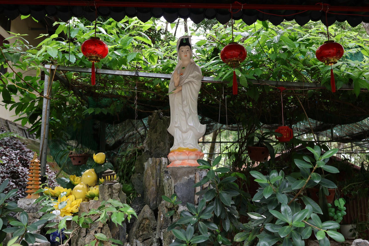Dù ta có sống tốt thế nào vẫn không thể đẹp lòng tất cả nên hãy là chính mình, ai có nói gì thì tùy họ. Luôn học cách im lặng và buông bỏ thì mọi thứ sẽ bình yên.
