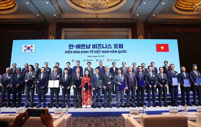 Tổng Bí thư Tô Lâm và Thủ tướng Hàn Quốc Kim Min Seok chứng kiến các đơn vị, doanh nghiệp trao thoả thuận hợp tác. Ảnh: Thống Nhất/TTXVN