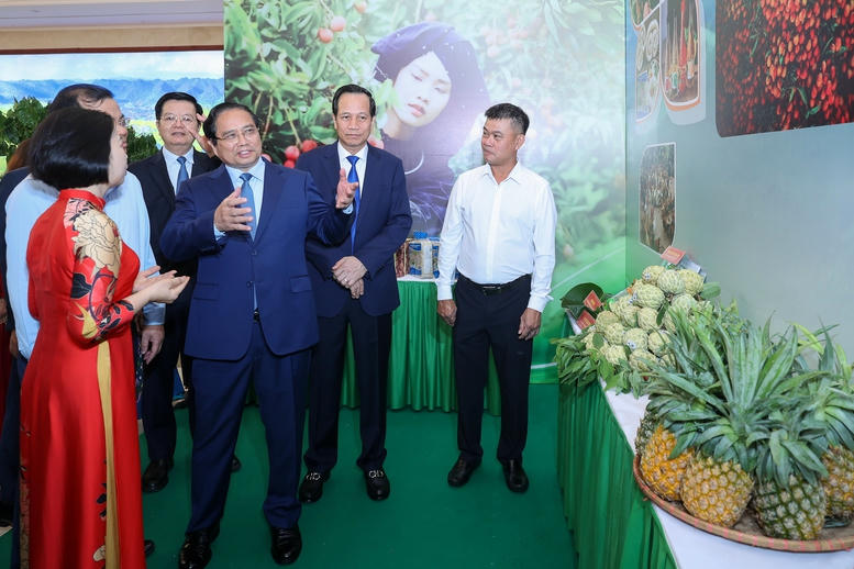 Thủ tướng thăm các gian hàng trưng bày sản phẩm nông nghiệp của các địa phương, đơn vị -  Ảnh: VGP/Nhật Bắc