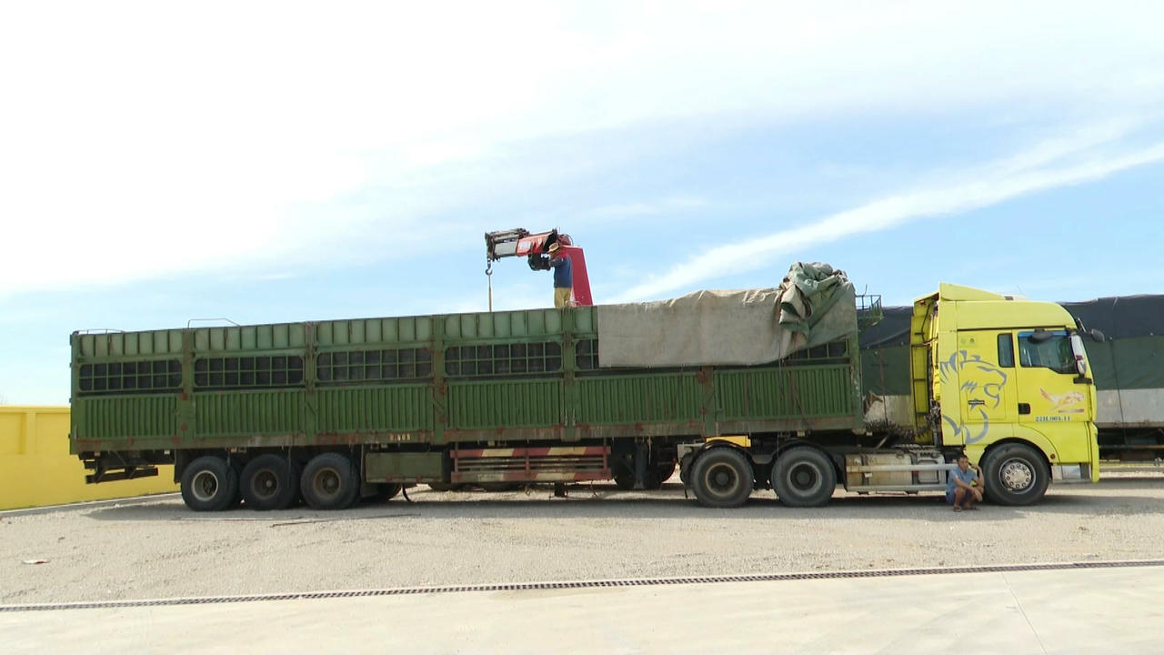 Xe tải chở hàng vượt tải trọng hơn 400%, lĩnh giấy phạt 300 triệu đồng, buộc hạ tải