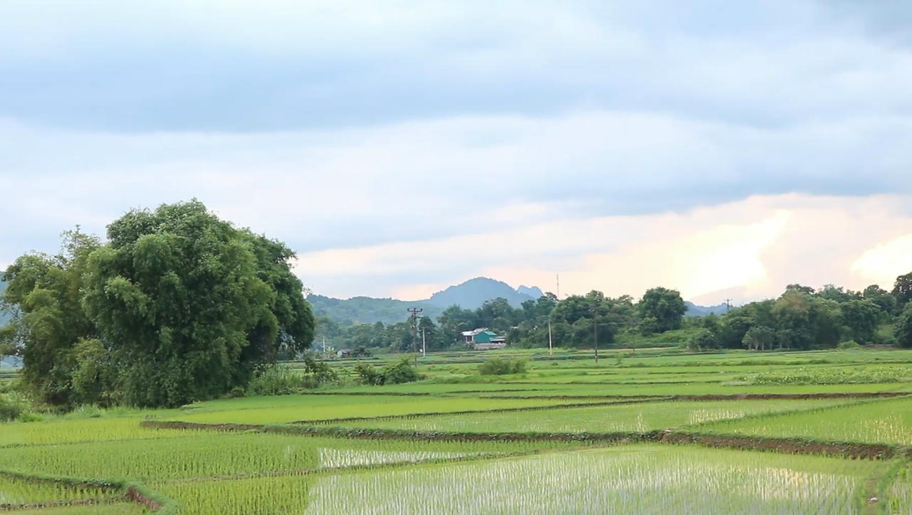 Cánh đồng yên bình trên bản Lũy Ải. Ảnh: Hoàng Phương và cộng sự.