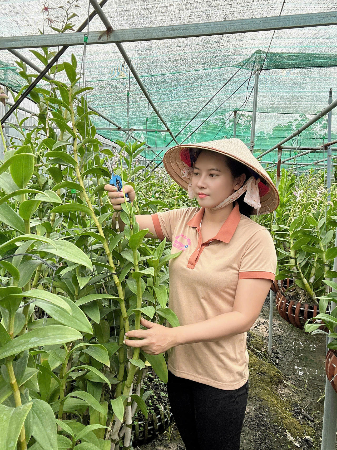 Vườn lan của Kim Hoa tạo việc làm cho hơn 40 lao động địa phương, gồm cả thanh niên và phụ nữ trung niên.