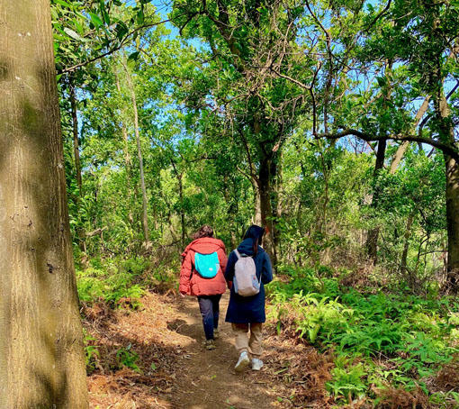 Du lịch trải nghiệm một mình đến những địa điểm thiên nhiên hoang sơ ẩn chứa rất nhiều nguy hiểm.