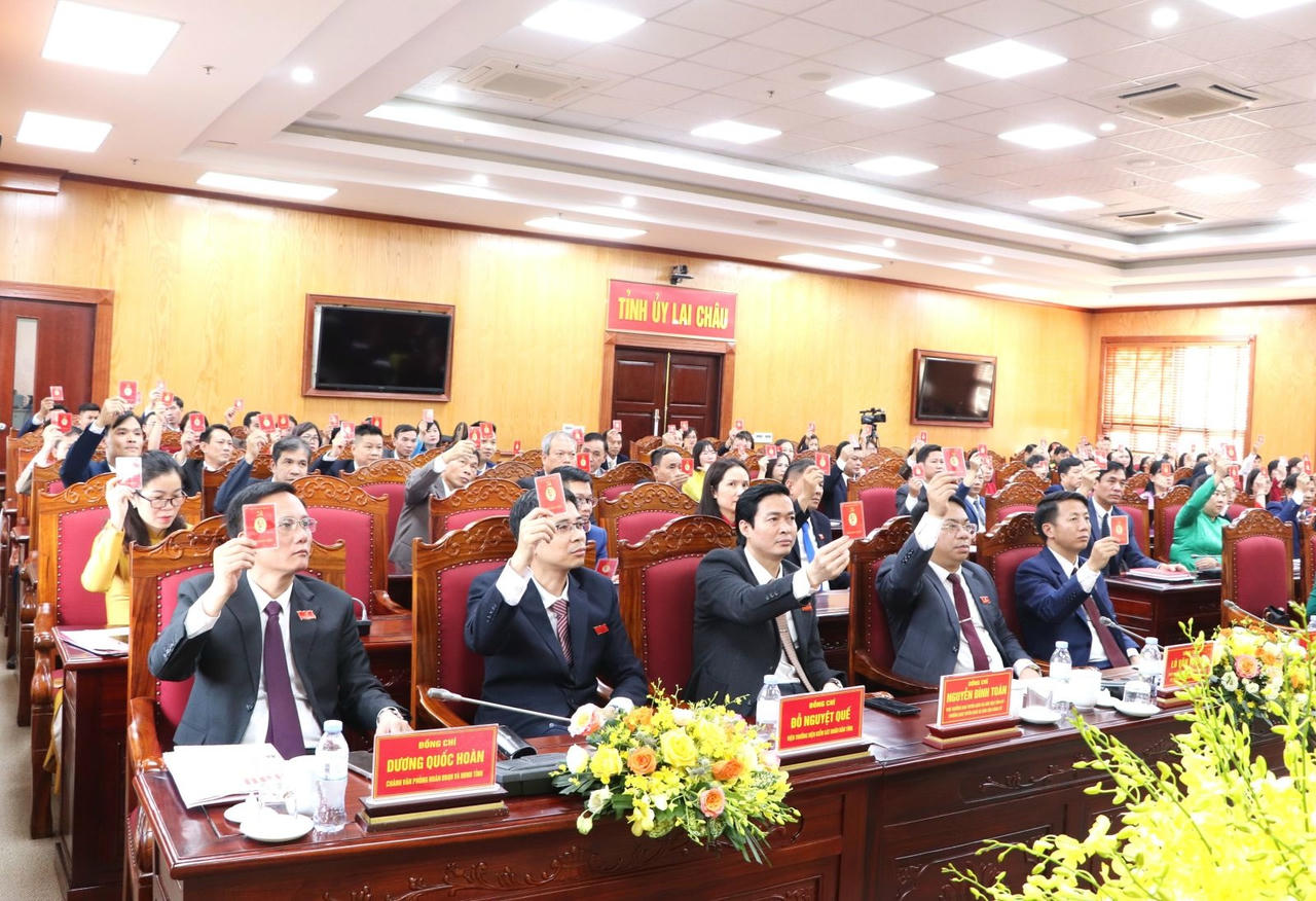 Các đại biểu biểu quyết.