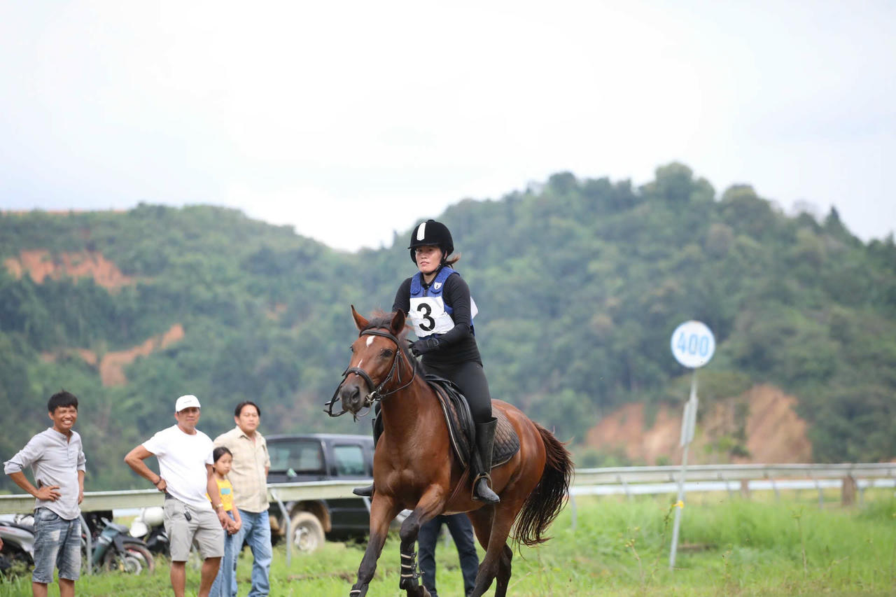 Những con ngựa đua tung vó dưới sự điều khiển của những kỵ mã mang đến cho người xem cảm giác hồi hộp, mãn nhãn.