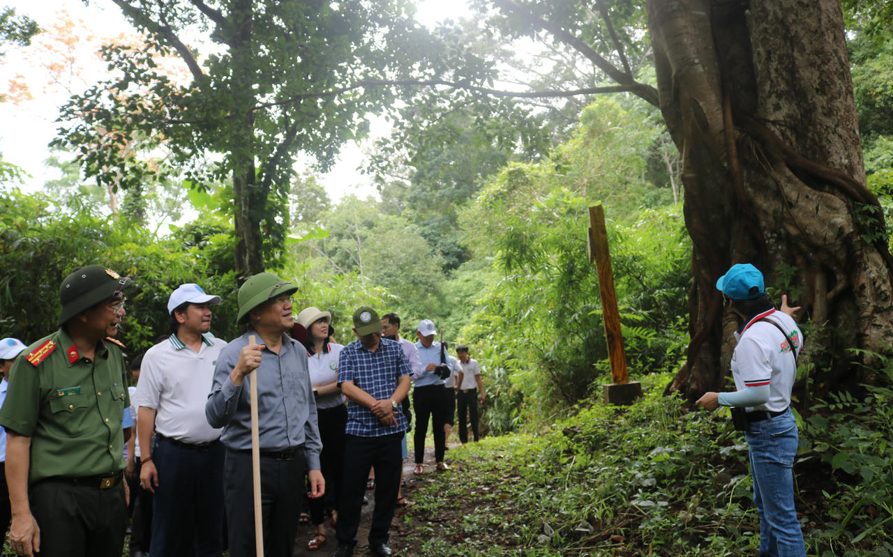 Kon Ka Kinh - của hiếm mà thiên nhiên ban tặng