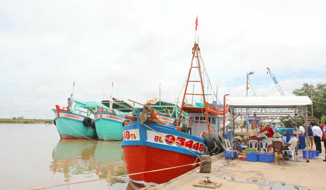 Lực lượng chức năng Cà Mau quyết liệt kiểm soát chặt chẽ tàu cá ra vào cảng, giám sát sản lượng khai thác, đăng ký - đăng kiểm đầy đủ...